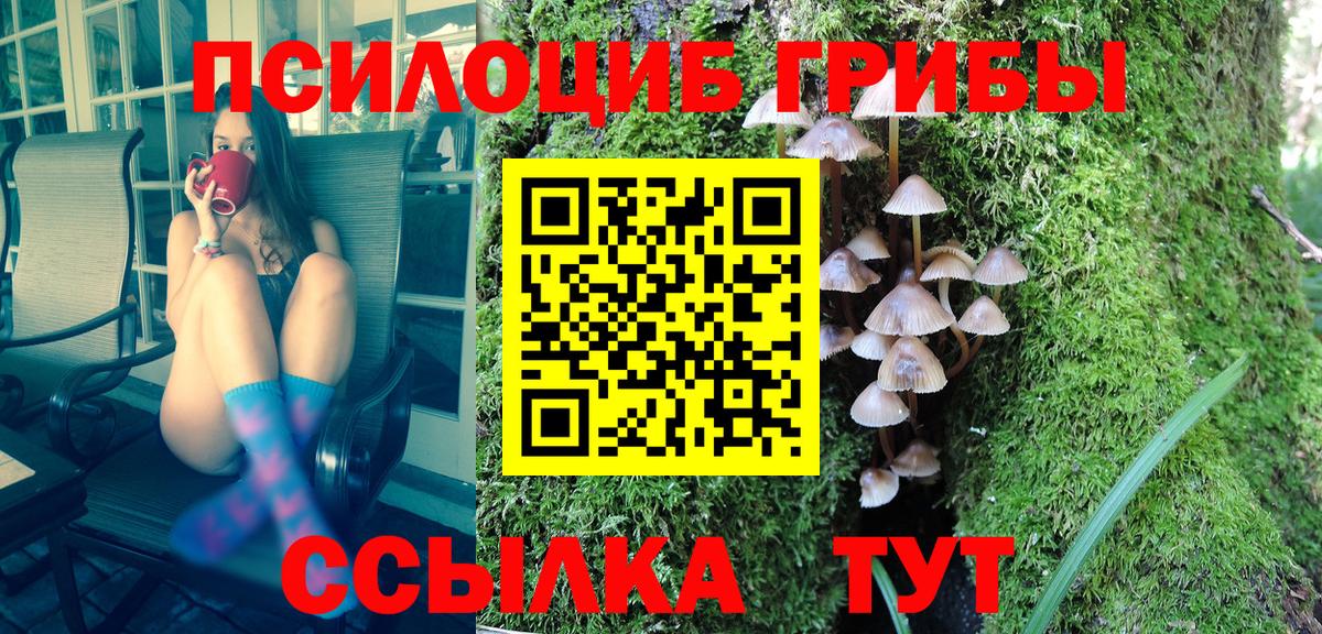 Галлюциногенные грибы GOLDEN TEACHER  Вход с VPN  где найти наркотики  Вольск 