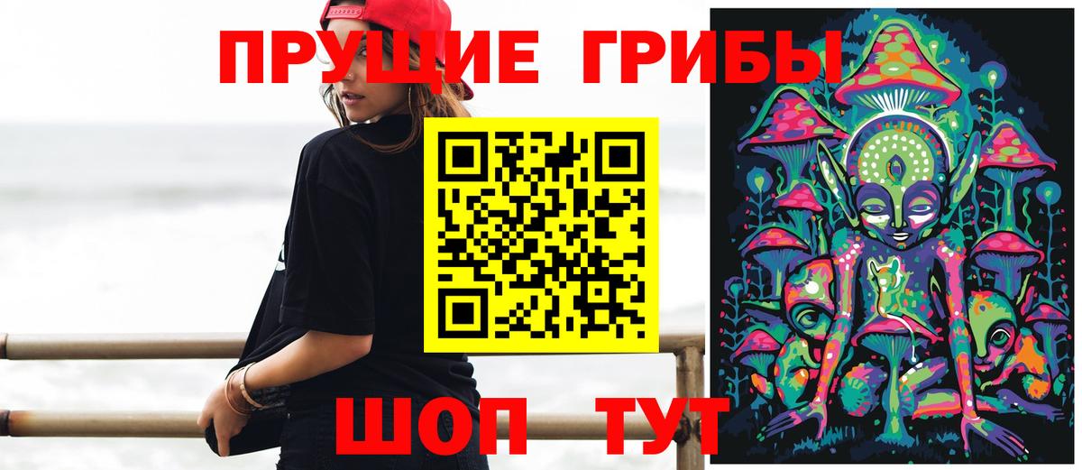 Псилоцибиновые грибы мицелий Вольск