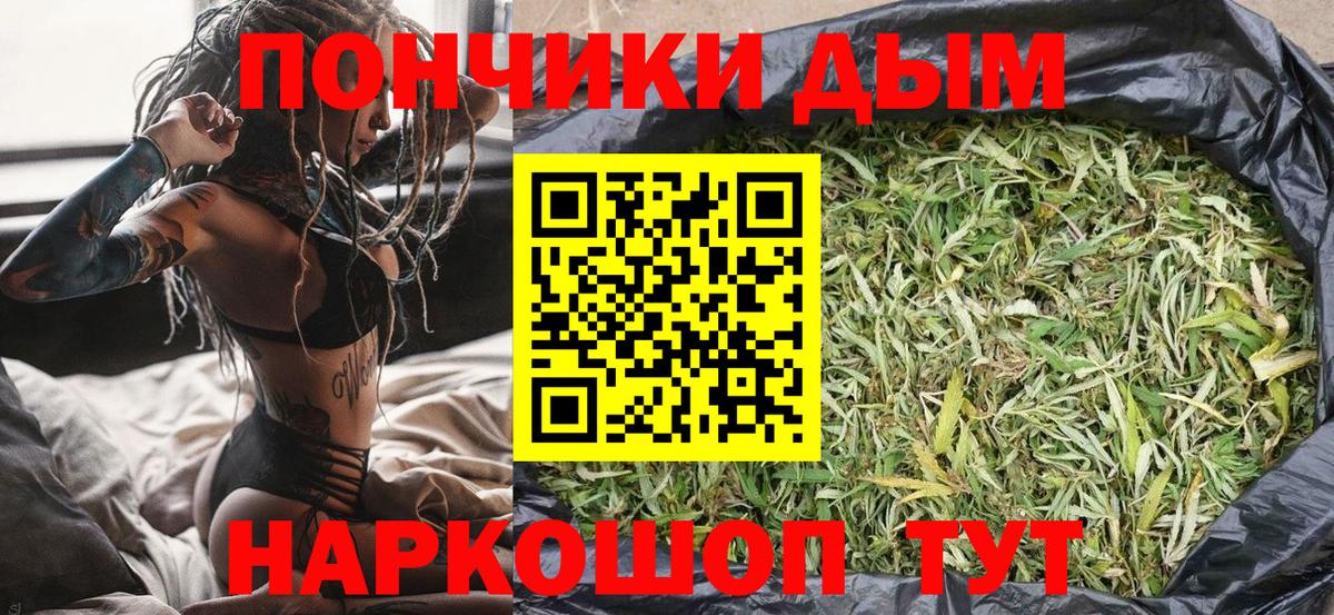 Канабис план Вольск